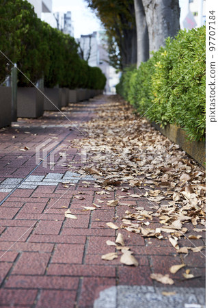 Sidewalk, fallen leaves, cityscape, suburbs, street, autumn, winter, shadow, feet, up 97707184