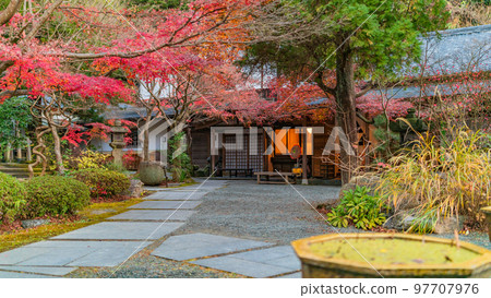 [神奈川縣] 秋葉環繞的覺園寺院內 *攝影合作「覺園寺」取得財產使用權 97707976