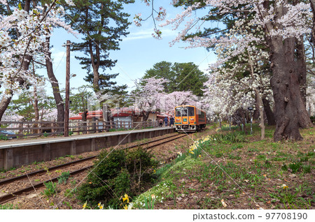 [Ashinokoen Station, Goshogawara City, Aomori Prefecture] Sakura tunnel at the northernmost private railway station in Honshu 97708190