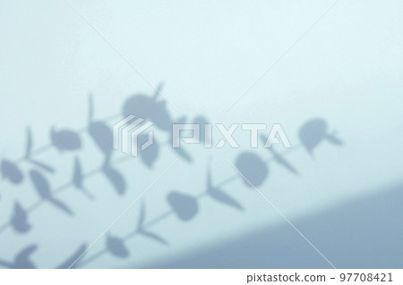 plant shadows and copy space 97708421