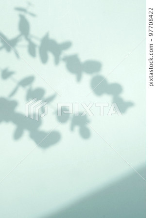 plant shadows and copy space 97708422