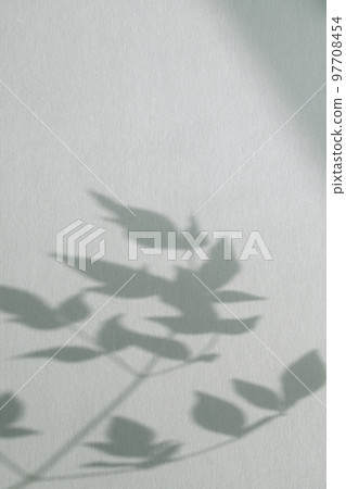 plant shadows and copy space plant shadows and copy space 97708454