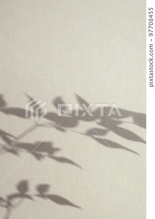 plant shadows and copy space plant shadows and copy space 97708455