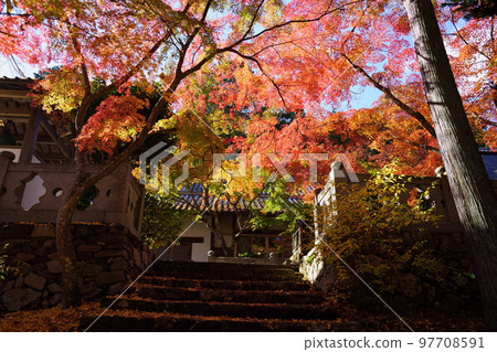 Autumn approach to Wazuka Shoboji Temple in Kyoto Autumn approach to Wazuka Shoboji Temple in Kyoto 97708591