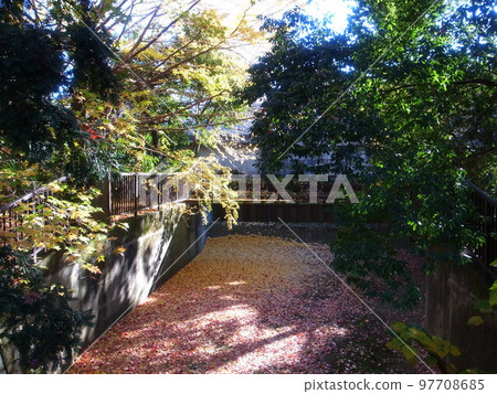 秋天的武藏石公園 97708685