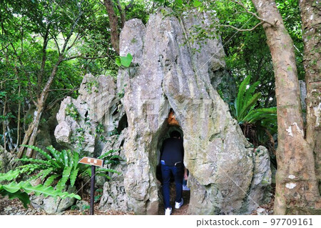 大石林山(沖繩縣) 大石林山(沖繩縣) 97709161