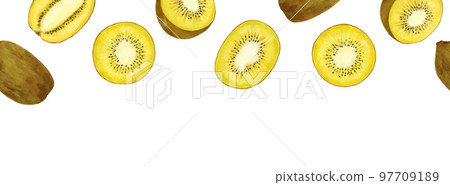 Golden kiwi fruit watercolor style illustration frame Golden kiwi fruit watercolor style illustration frame 97709189