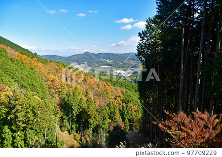 妙見山的紅葉 97709229