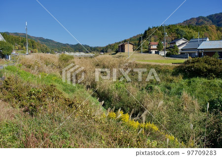 Small grassy river in the countryside 97709283