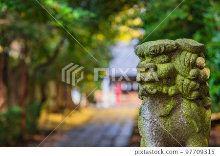 [神奈川縣]高田天滿宮的狛犬※自然風光 97709315