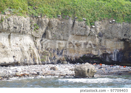 國家天然紀念物矽化木海岸風光 國家天然紀念物矽化木海岸風光 97709403