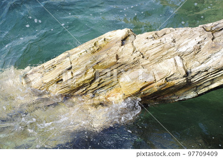 Scenery of petrified wood, a national natural monument 97709409