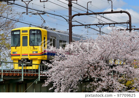 Keio Deya 901/902 路過櫻花 97709625