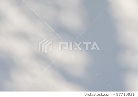 一棵死樹的影子反射在灰泥牆上 明亮 97710031