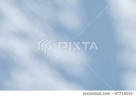 一棵枯樹的影子反射在石膏牆上 明亮、冷色 97710032