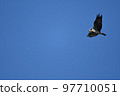 Osprey 97710051