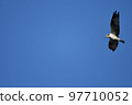 Osprey 97710052