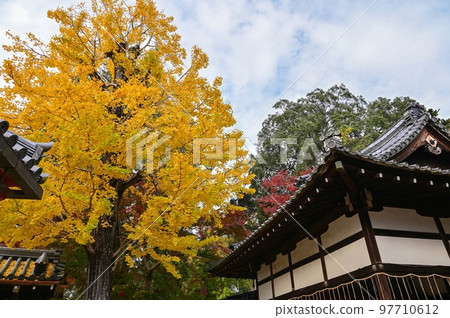 [Nara] The ginkgo and autumn leaves at Tetsumuyama Hachimangu Shrine were very beautiful 97710612