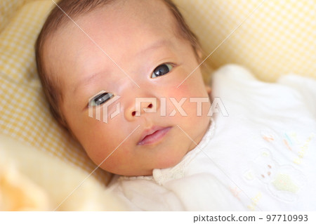 2 months old baby looking at mom's face 2 months old baby looking at mom's face 97710993