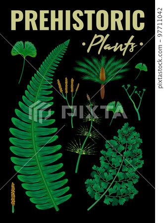 Prehistoric Plants Vertical Background Prehistoric Plants Vertical Background 97711042