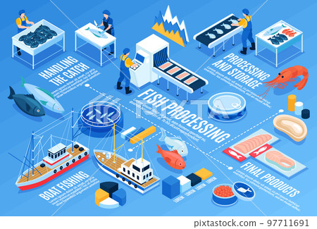 Fish Processing Horizontal Infographics 97711691