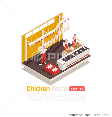 Chicken Farm Isometric Composition 97711867