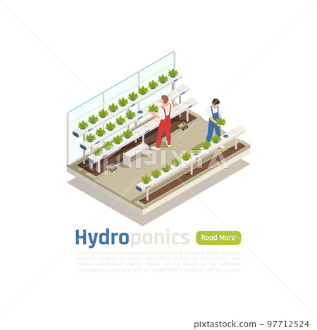 Hydroponics Greenhouse Isometric Composition Hydroponics Greenhouse Isometric Composition 97712524