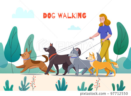 Outdoor Dog Walking Composition 97712550