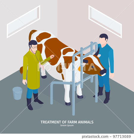 Cow Health Checkup Composition 97713089