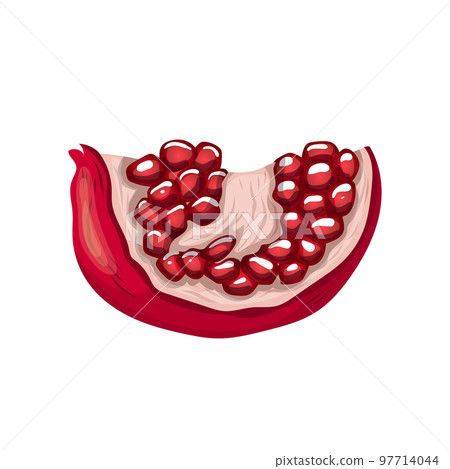 pomegranate ripe cartoon vector illustration 97714044