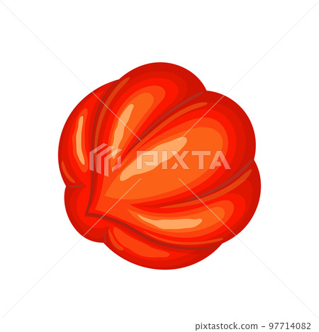 guarana fruit natural cartoon vector illustration 97714082