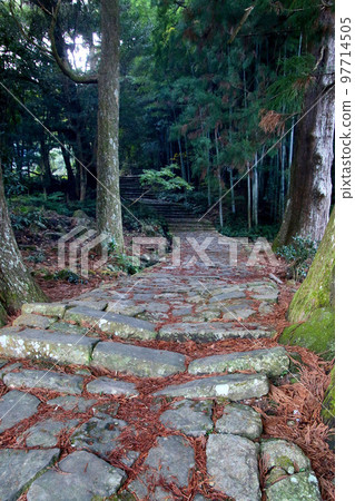 大門坂/熊野古道（和歌山縣近津浦町） 97714505