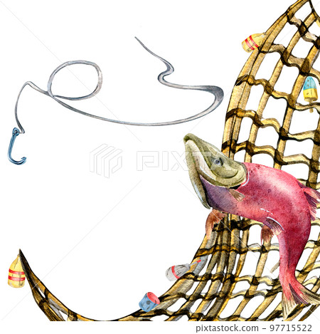 Composition of salmon, coho and fishnet watercolor illustration isolated on white. 97715522