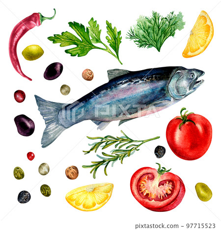 Set of trout and herbs watercolor illustration isolated on white. Set of trout and herbs watercolor illustration isolated on white. 97715523