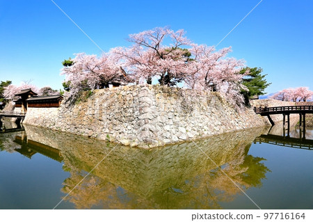 松代城跡公園的櫻花 97716164