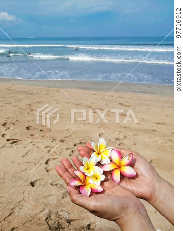 海灘接送 97716912