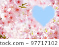 Heart cherry 97717102