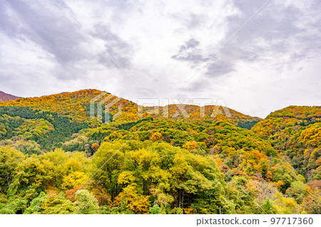 蘆之卷溫泉足浴、紅葉景點 97717360