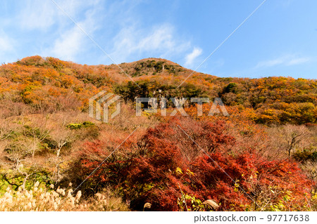 Autumn leaves of Makuyama (Yugawara Bairin) Autumn leaves of Makuyama (Yugawara Bairin) 97717638
