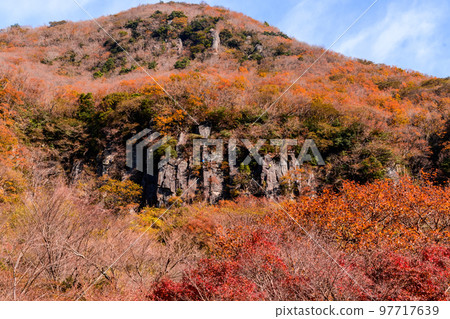 幕山的紅葉（湯河原梅林） 97717639