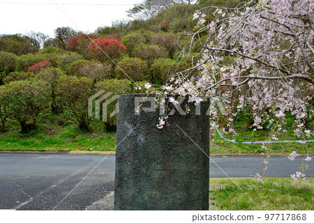 Yasuraginosato Park 2022-4-17 #58 Yasuraginosato Park 2022-4-17 #58 97717868