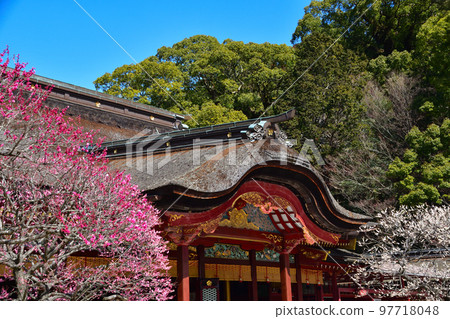 Ume Dazaifu Tenmangu Shrine 97718048
