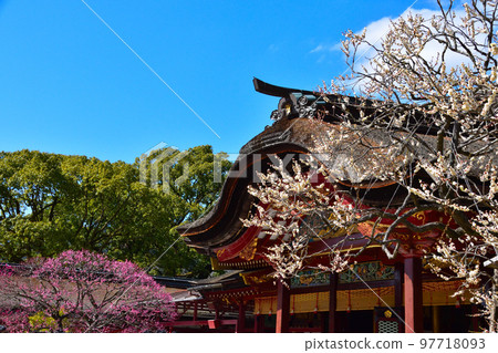 Ume Dazaifu Tenmangu Shrine Ume Dazaifu Tenmangu Shrine 97718093