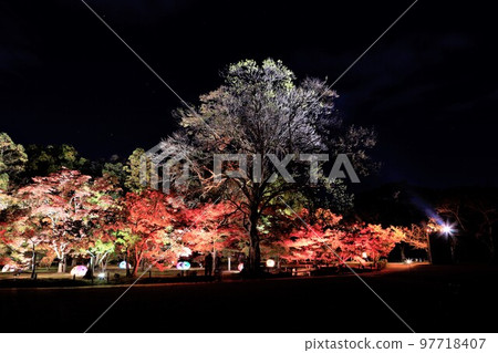 岡山後樂園的幻覺花園 97718407