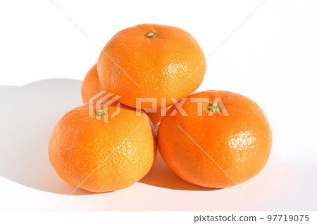 Mikan (Nankan No. 20) 97719075
