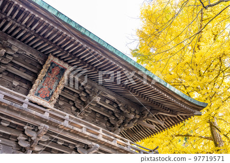 Sendai Toshogu Shrine Zuishinmon Plaque Ginkgo Sendai Toshogu Shrine Zuishinmon Plaque Ginkgo 97719571