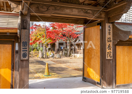 Sengaku-in Momiji 97719588