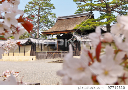 Kenreimon Gate beyond the cherry blossoms in full bloom at Kyoto Gyoen Kenreimon Gate beyond the cherry blossoms in full bloom at Kyoto Gyoen 97719810