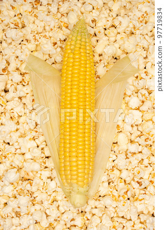 Ear of corn on popcorn background. Ripe yellow corn with leaves is on top of a pile of salted popcorn. 97719834