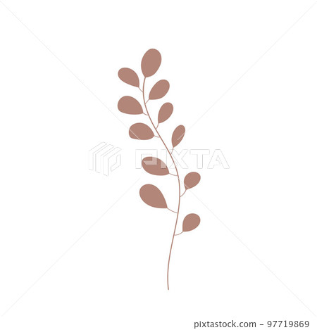 Herb hand drawn icon vector doodle, tree branch. Simple plant leaves icon. Botanical doodle drawing. Botanical illustration for print, wedding card, invitation card floral poster, sticker logo vector Herb hand drawn icon vector doodle, tree branch. Simple plant leaves icon. Botanical doodle drawing. Botanical illustration for print, wedding card, invitation card floral poster, sticker logo vector 97719869